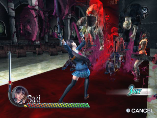 Illustration for article titled Onechanbara – Easy On the Eyes, Not On The Wallet